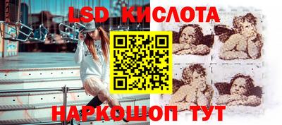 СК Рыбинск