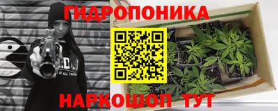 СК Рыбинск