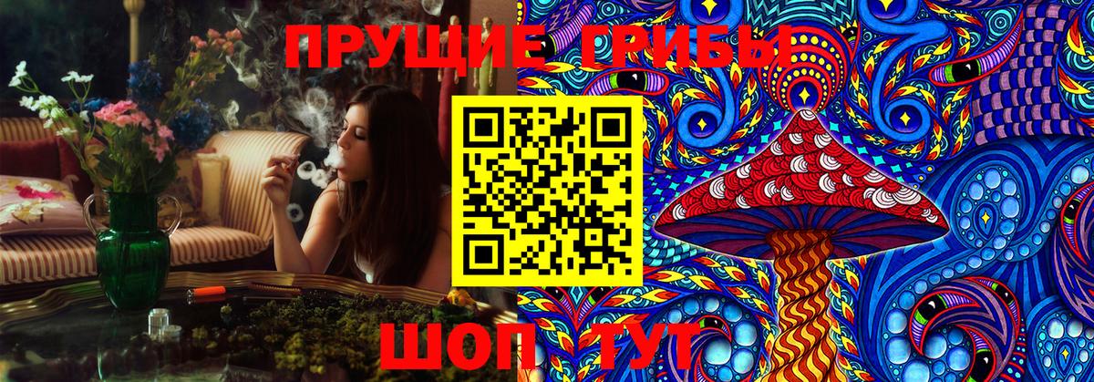 Псилоцибиновые грибы Psilocybe Верхняя Пышма